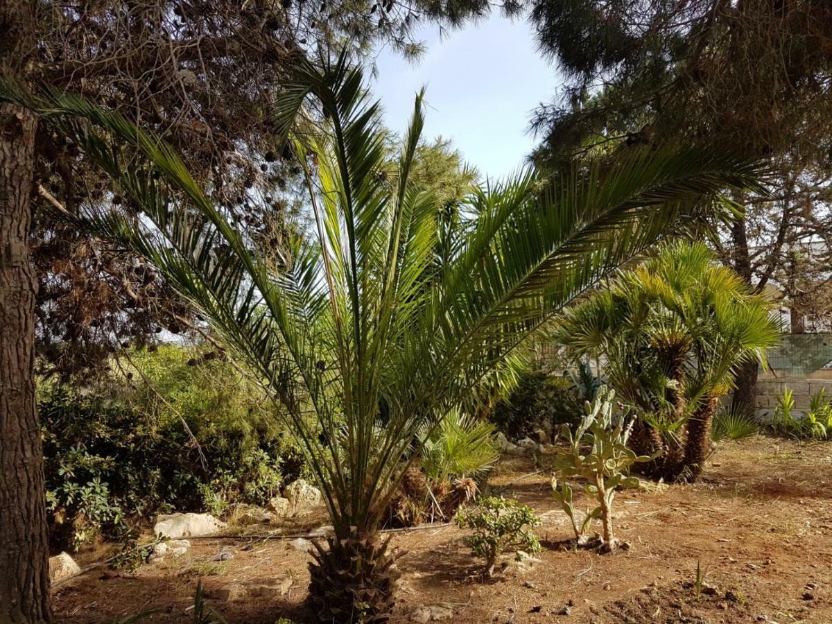 קרוביניו Villa Mina מראה חיצוני תמונה