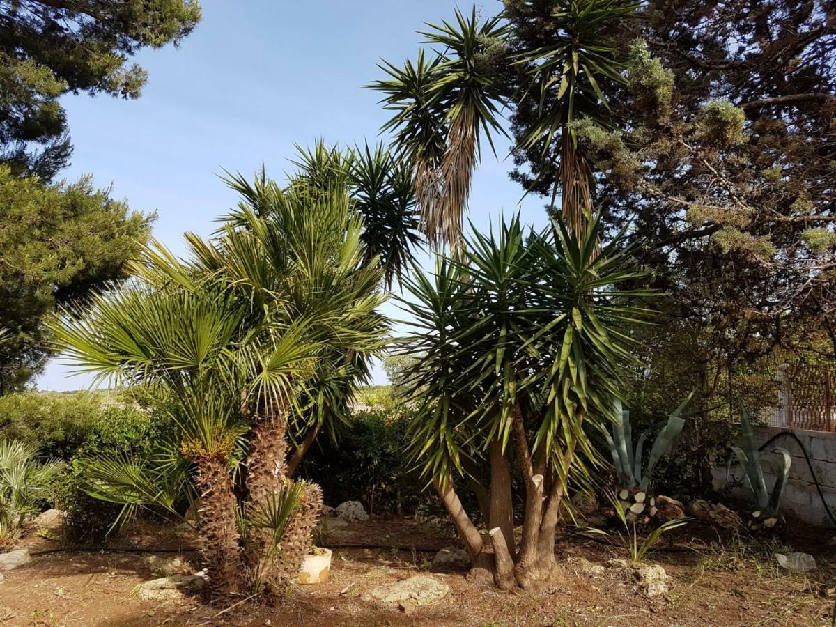 קרוביניו Villa Mina מראה חיצוני תמונה